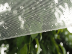 梅雨の気配