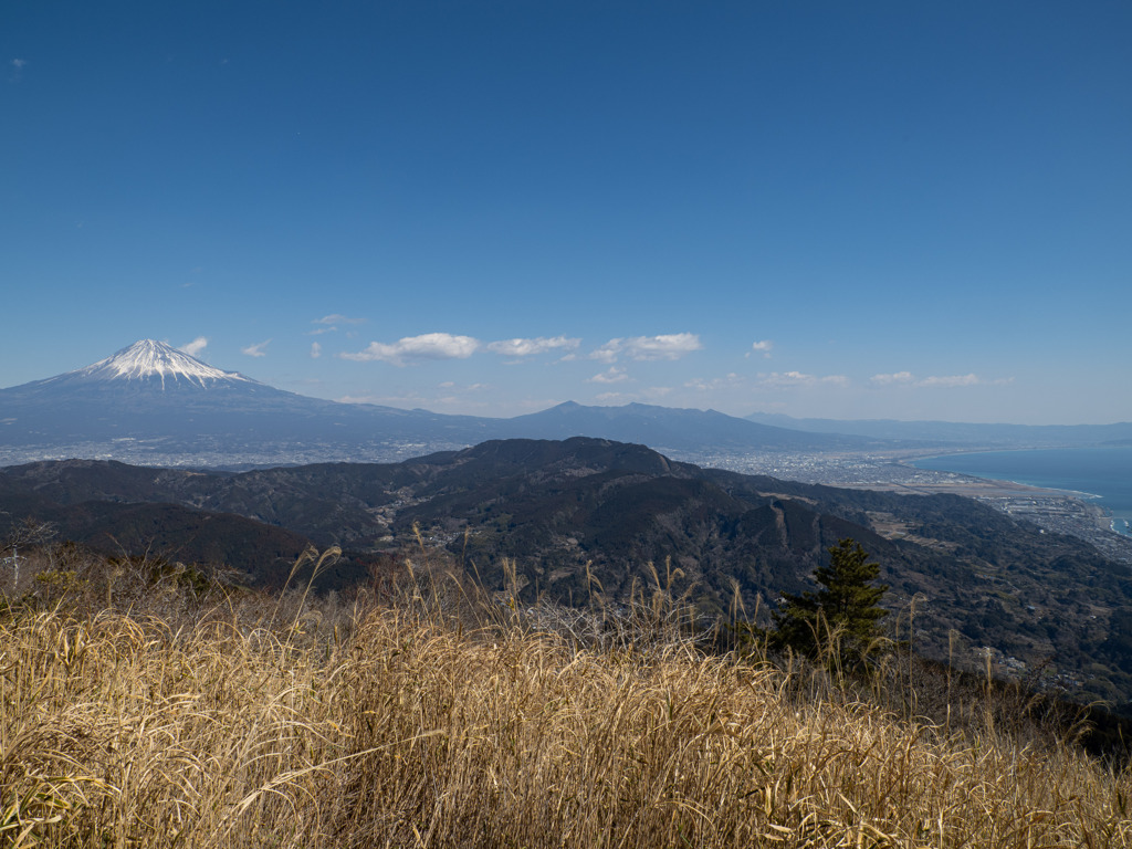 浜石岳山頂