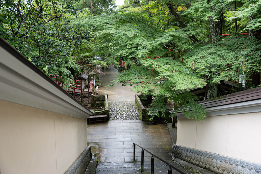 秋を想像する