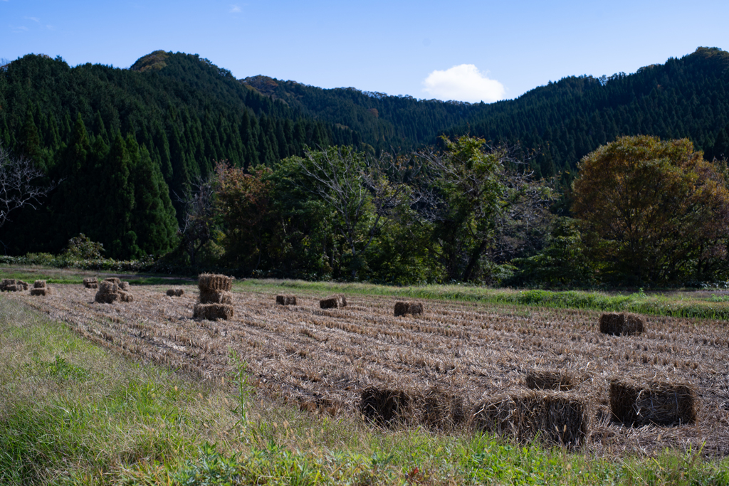 棚田の風景 2