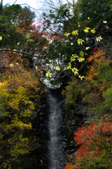 背龍の滝