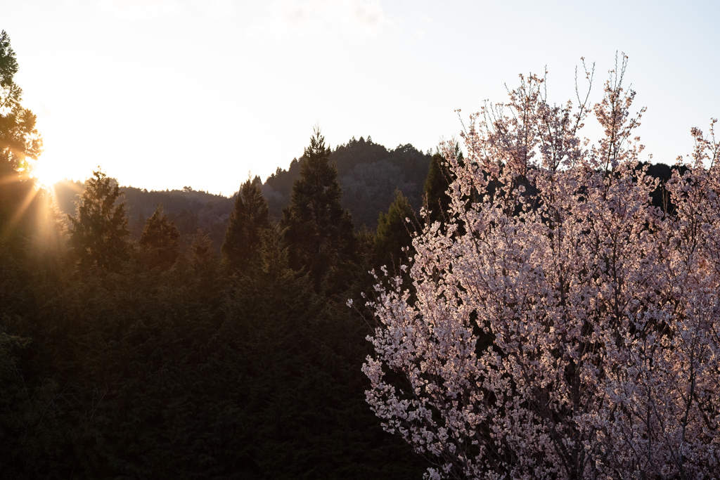 春の夕暮れ