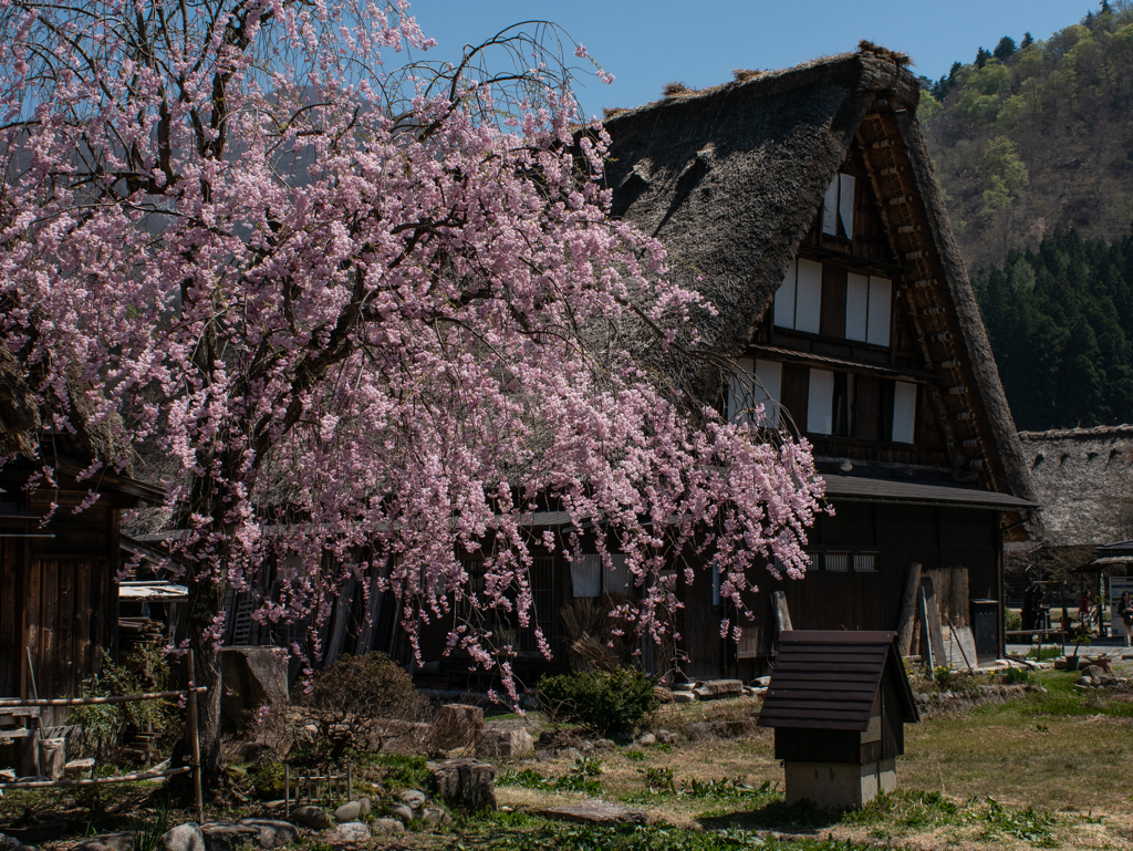 白川郷の春-2