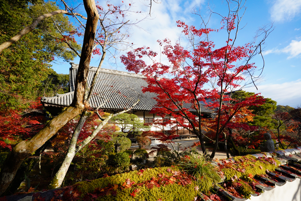 井山宝福禅寺 1