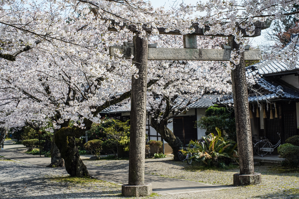 姫路神社