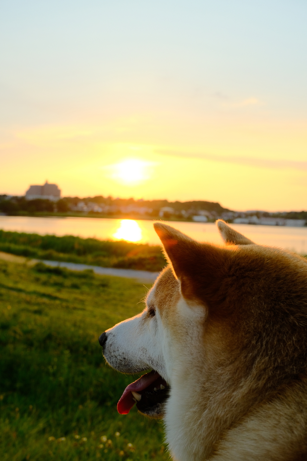 君にはどんな風に見えるのか