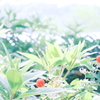 小さい存在感