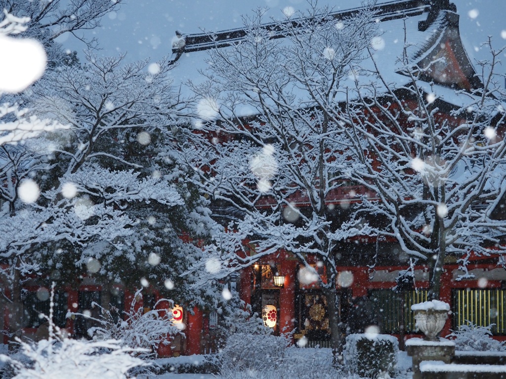 雪の千葉神社