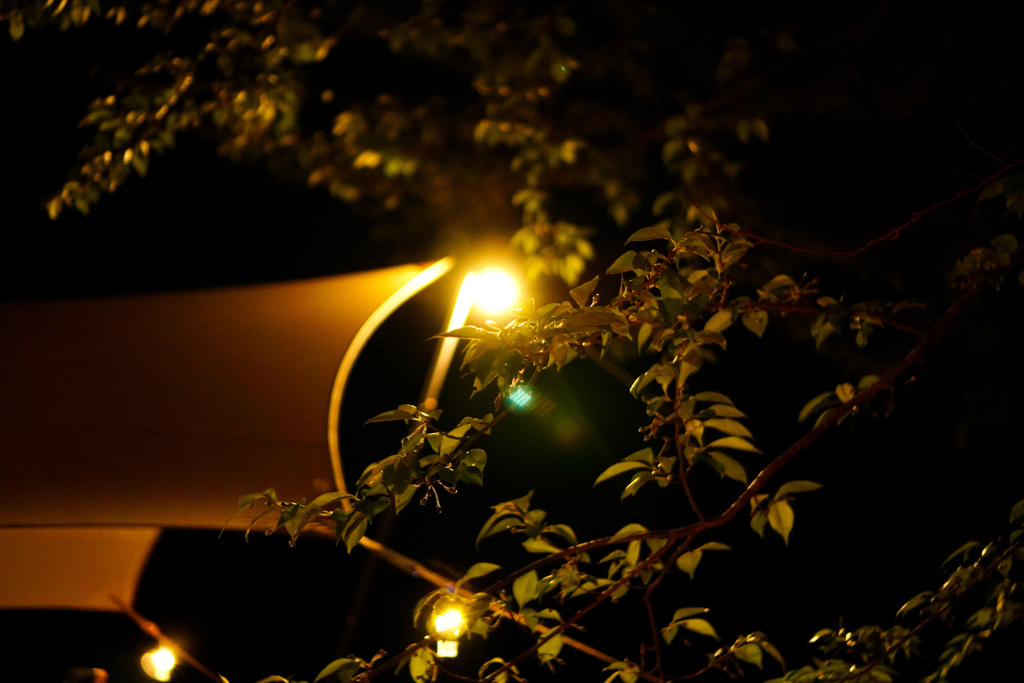 夜の始まり