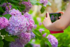 iPhoneに映る