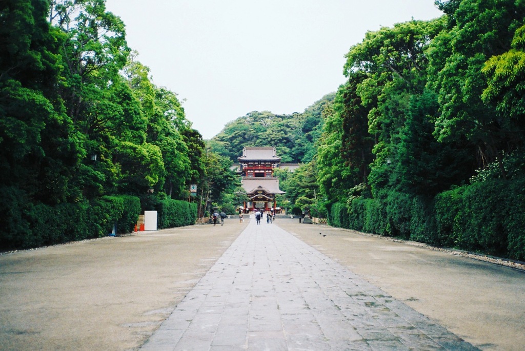 鶴岡八幡宮