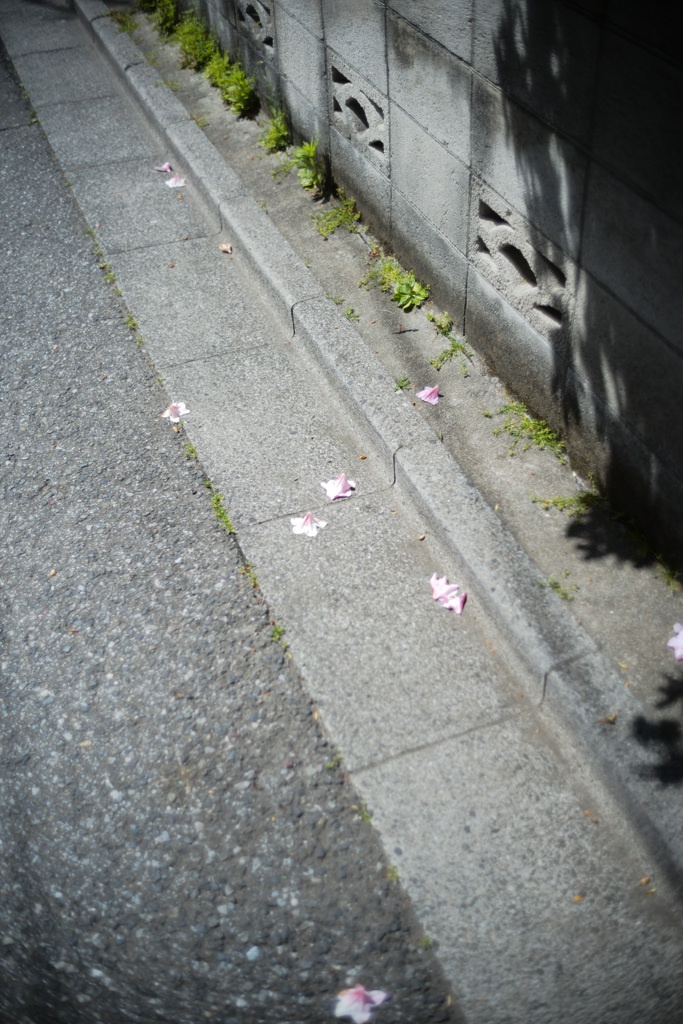 30,April,Tokyo