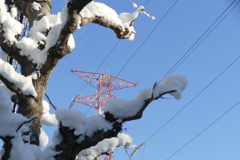 雪の日のお散歩カメラ