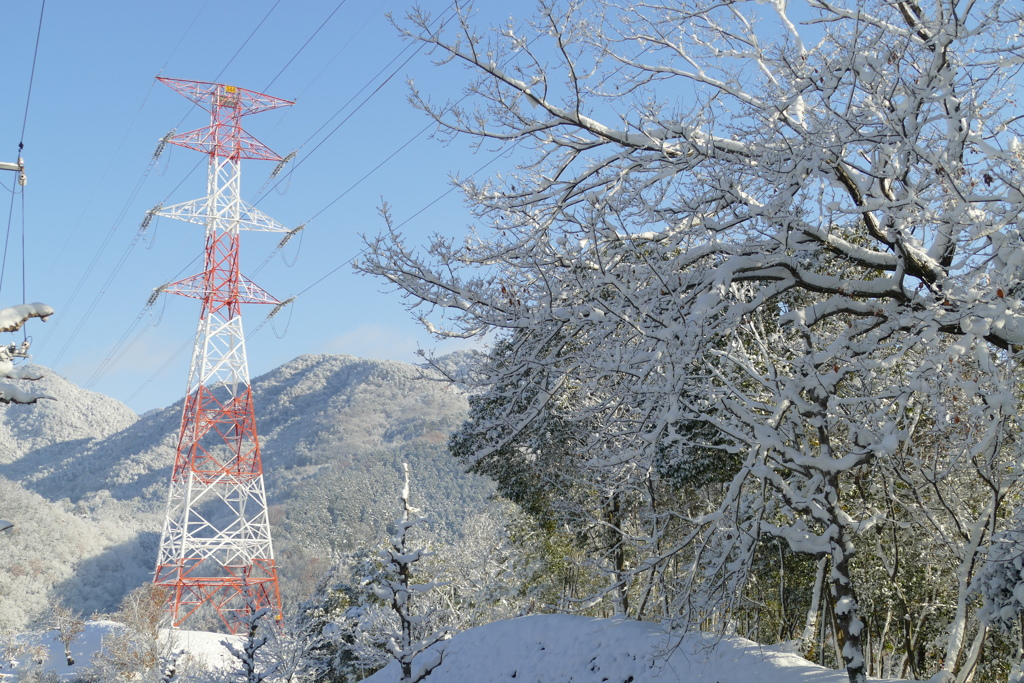 雪の日のお散歩カメラ