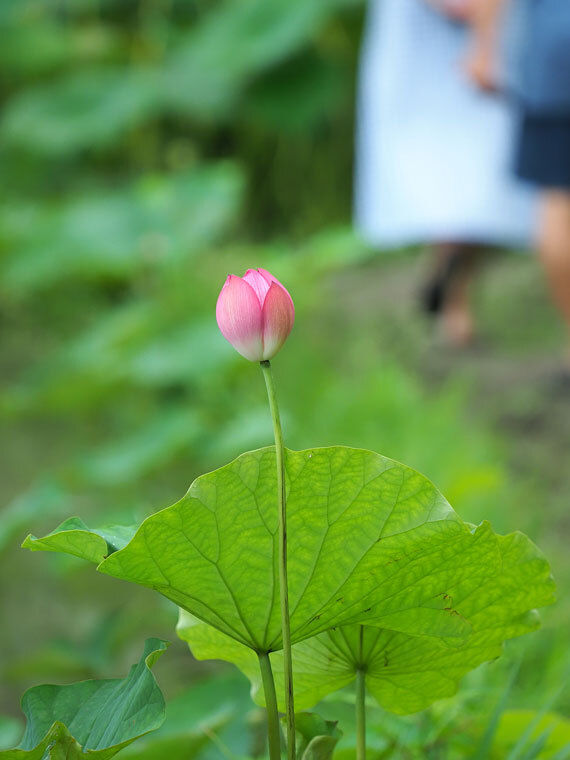 こんにちは