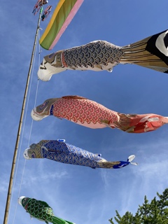 5月の風