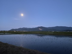 月と水面