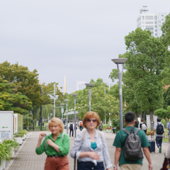 東京 青海, 2024年10月