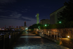 東京 青海南ふ頭公園, 2024年9月