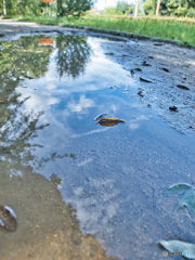 雨上がりの水溜まり　その2