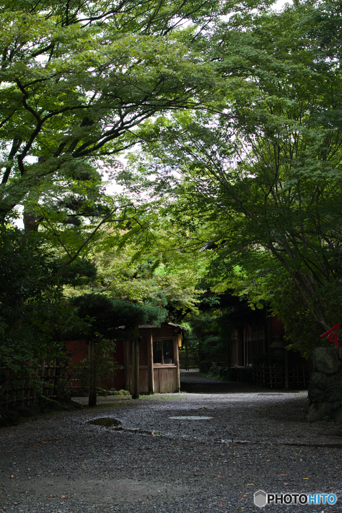 光の入り方が綺麗だったので
