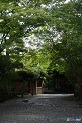 光の入り方が綺麗だったので