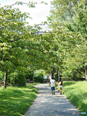 今日はどこ行こうか