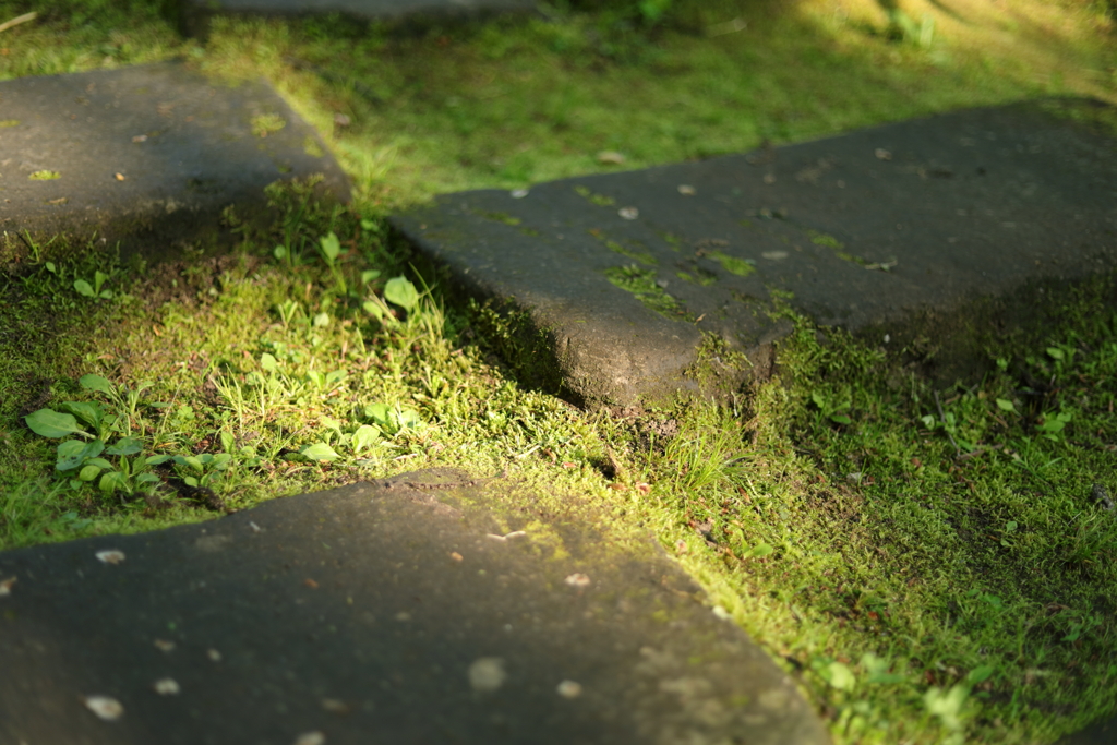 石段に差す光