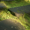 石段に差す光