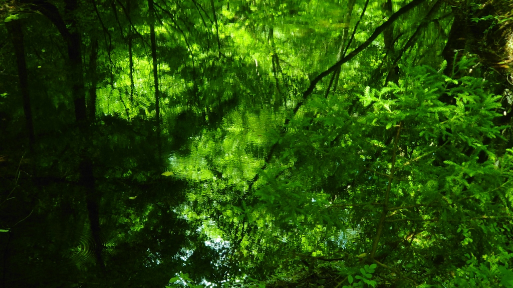 みなも