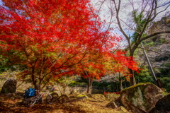 タルタルーガで豪渓まで1