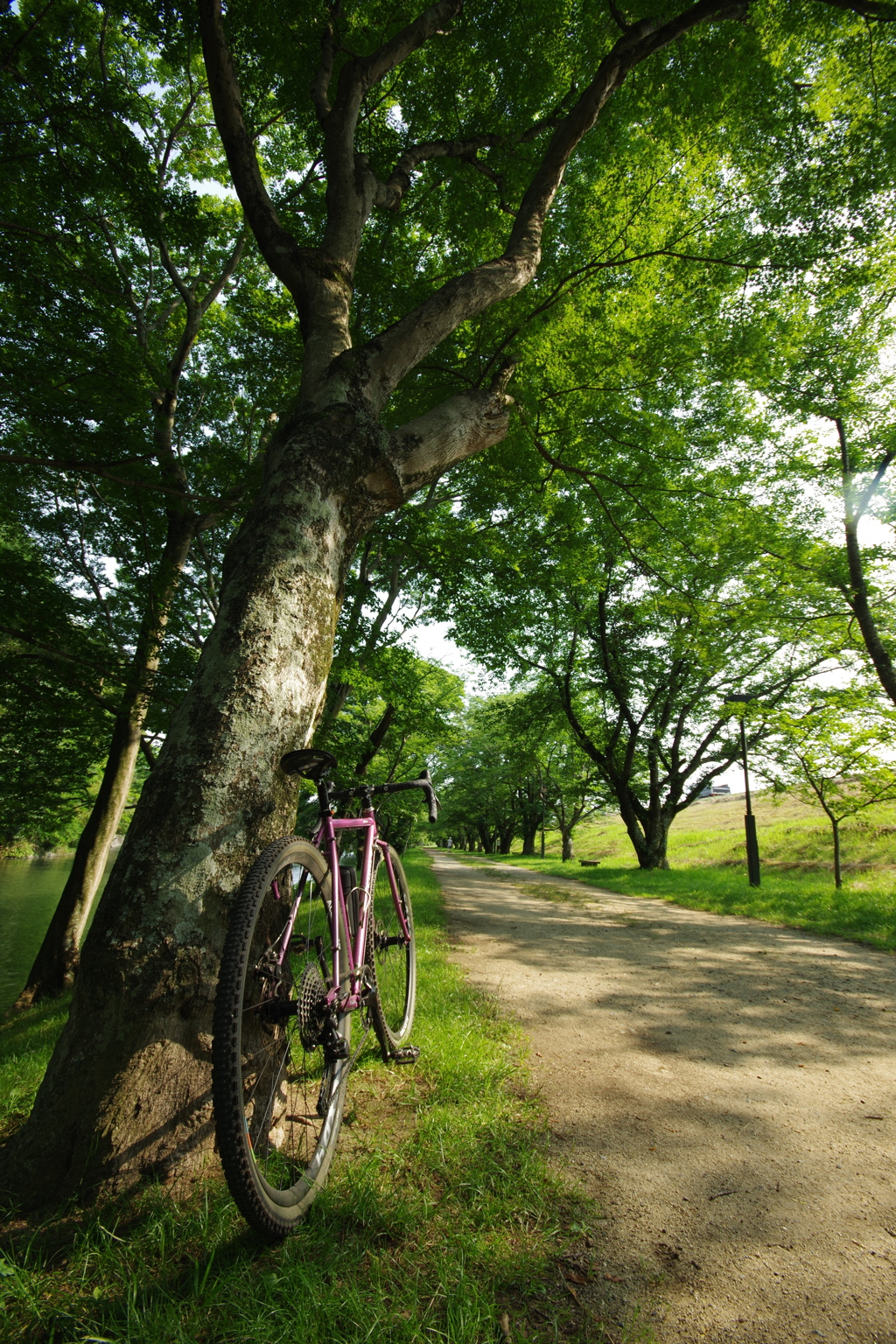 会社サボってご近所ライド3　