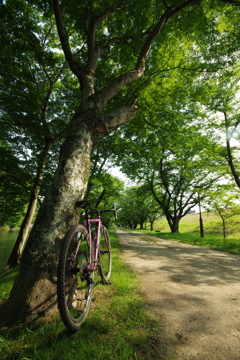 会社サボってご近所ライド3　