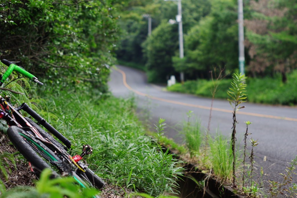 登り切って下りと思ったらまた登り