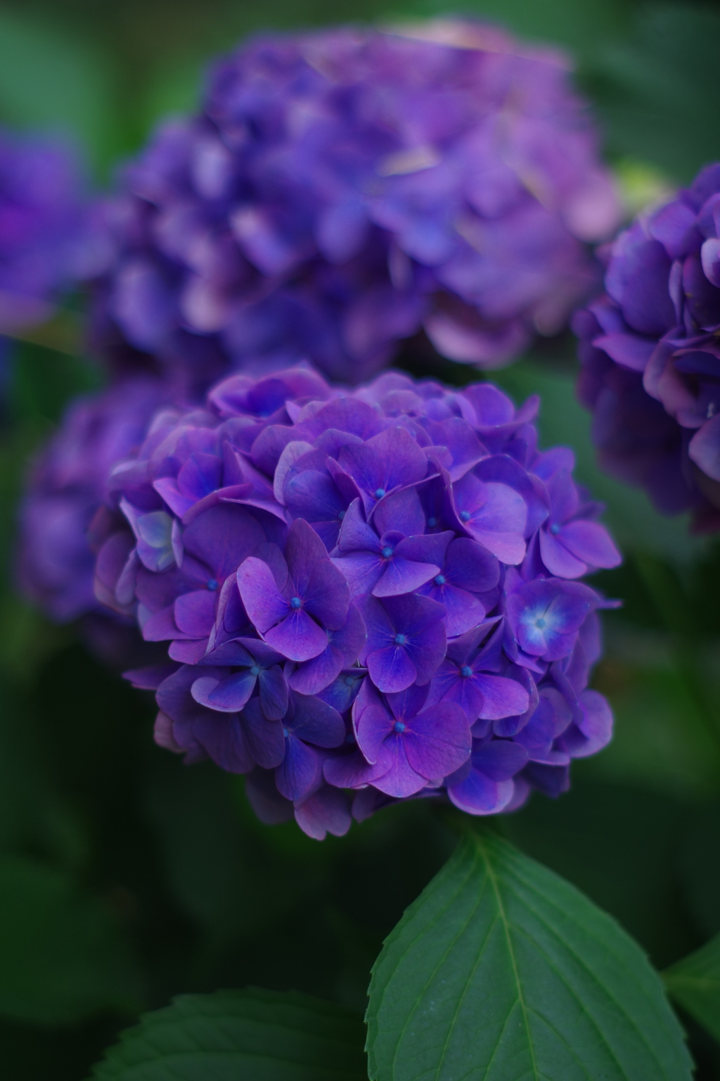 そろそろシーズンオフ