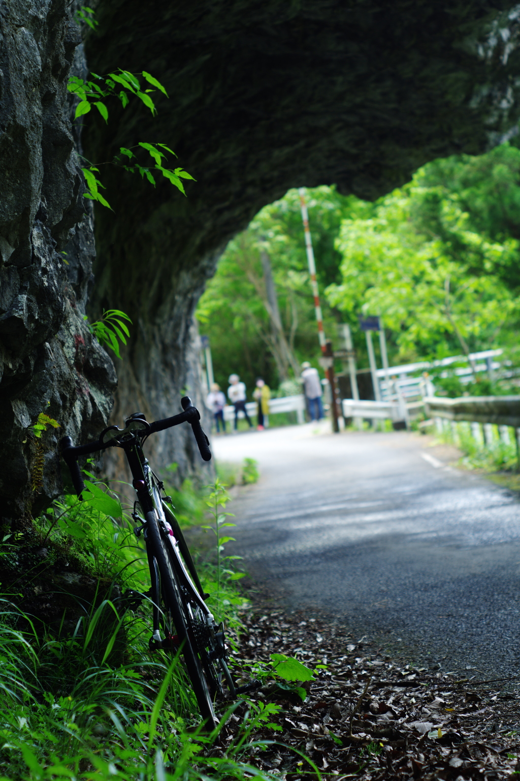 すでに初夏なライド