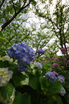 崖っぷち頑張った！