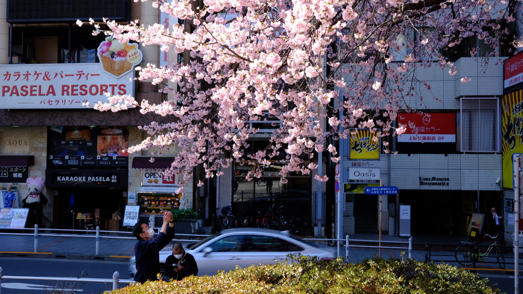 ueno park