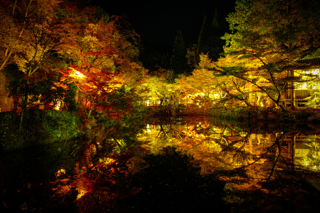宝生寺 紅葉ライトアップ