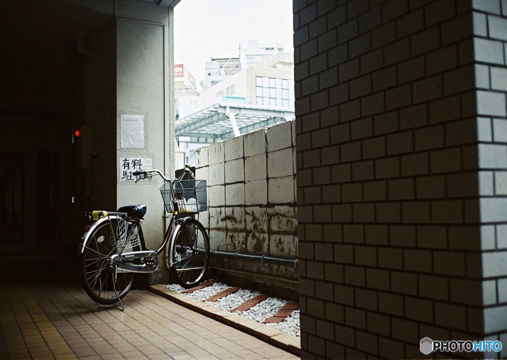 夢見る自転車