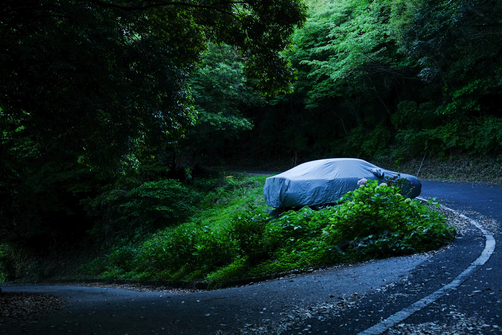 深緑と廃車