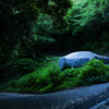 深緑と廃車