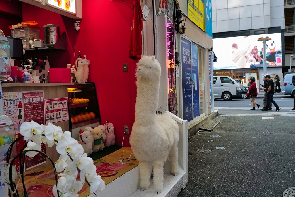 あの日あの時あの場所で
