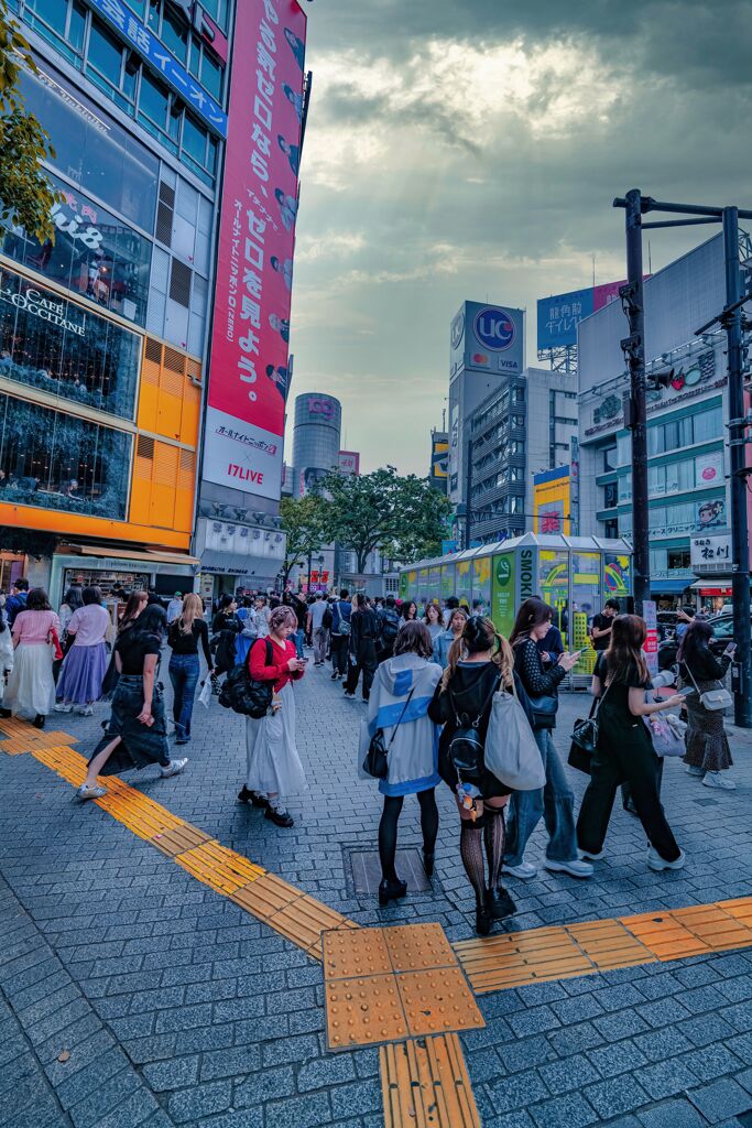 昨日来た道覚えてますか？