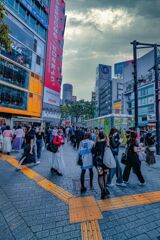 昨日来た道覚えてますか？