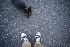 鹿児島の黒猫と一期一会（２）
