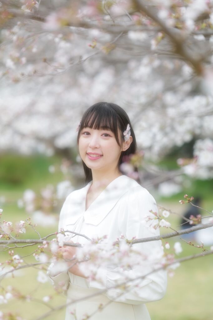 今年の桜は良いさくら