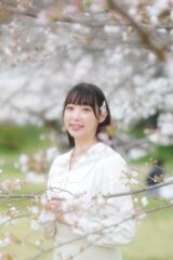 今年の桜は良いさくら