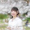 今年の桜は良いさくら