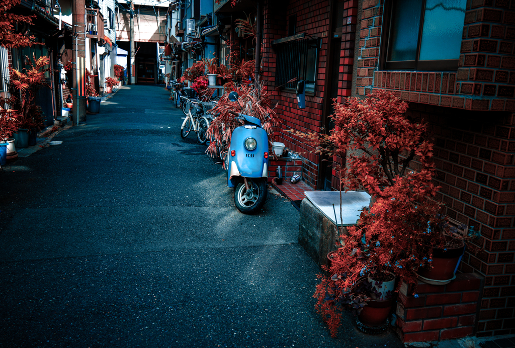 Osaka town color